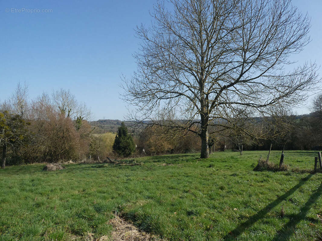 Maison PONT L'EVEQUE 4 pièce(s), 96 m² (146.44 m² au sol) 3 ch dt 1 au rdc, 13056 m² dont prairie - photo 16