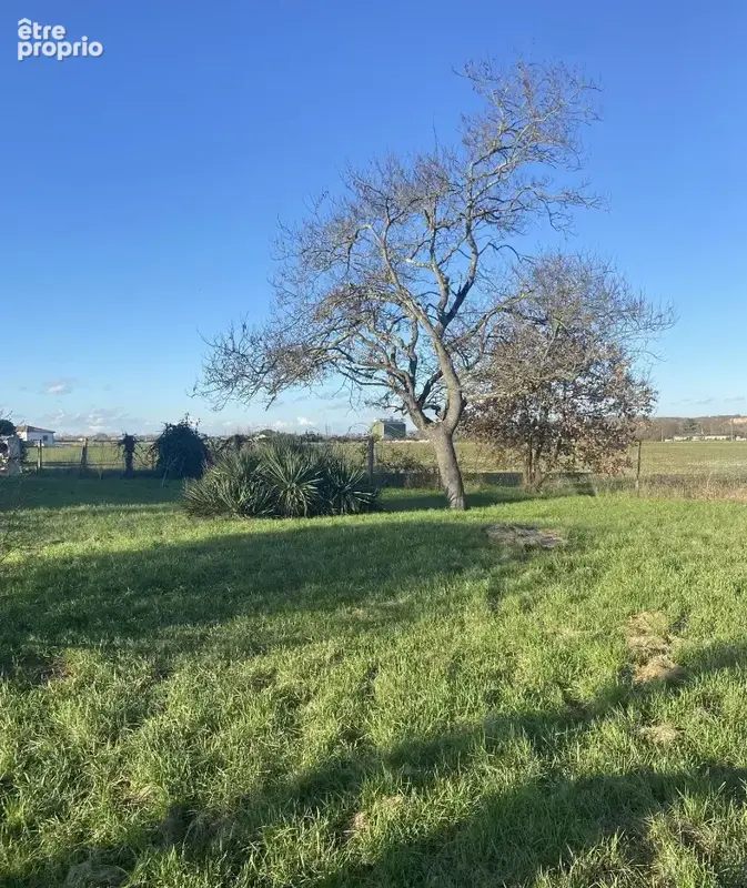 Terrain 547 m² à vendre à Vernet (31810) - photo 2