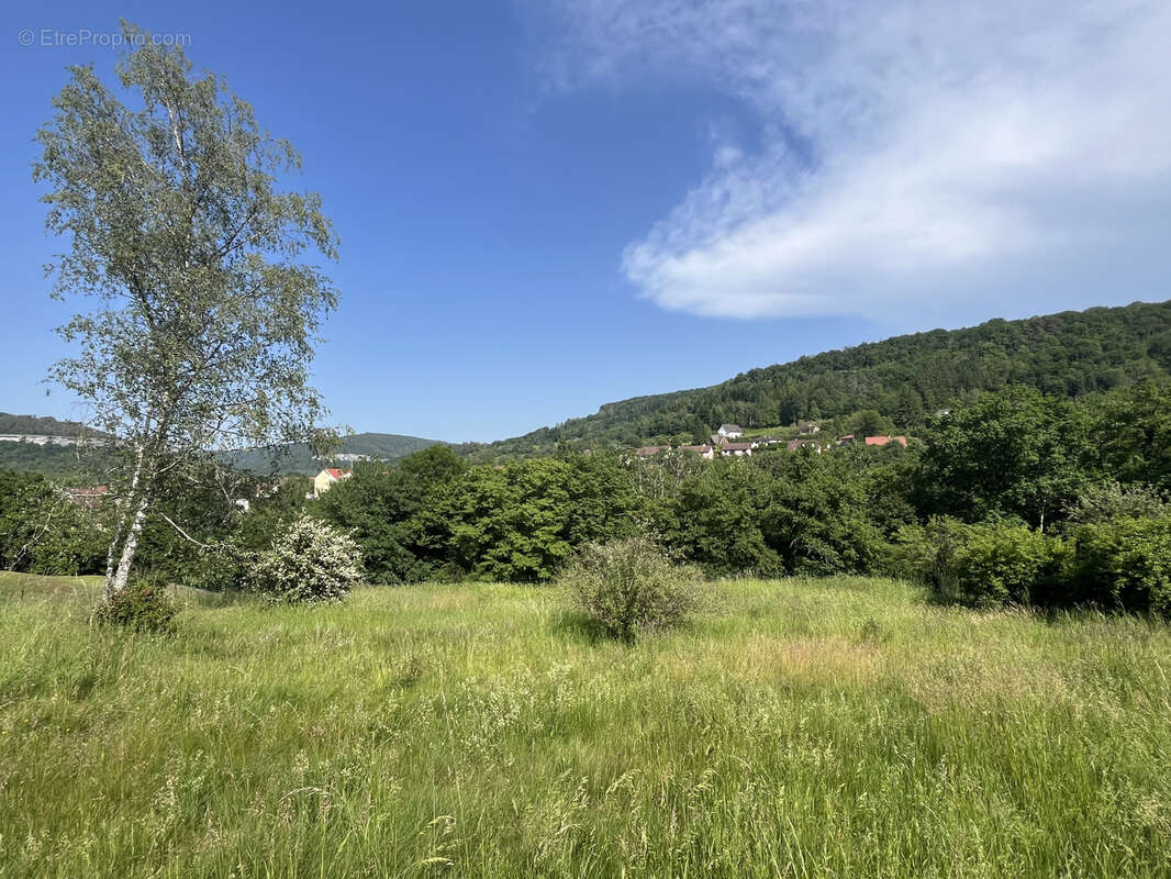 Terrain à ORNANS