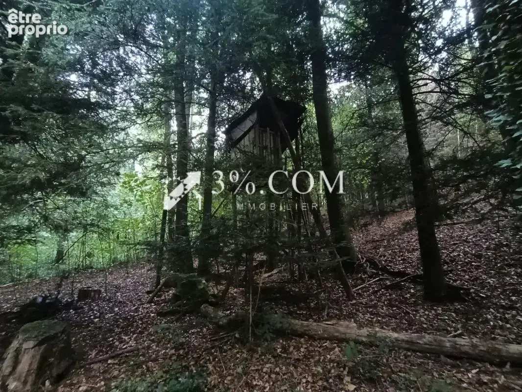 Terrain forestier avec étang sur la commune de Moyenmoutier - photo 3