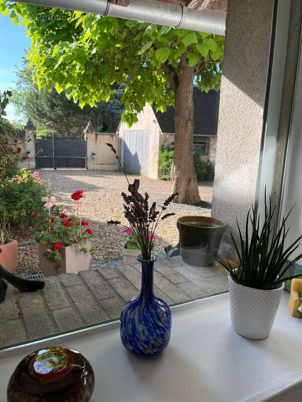 Maison à OLIVET