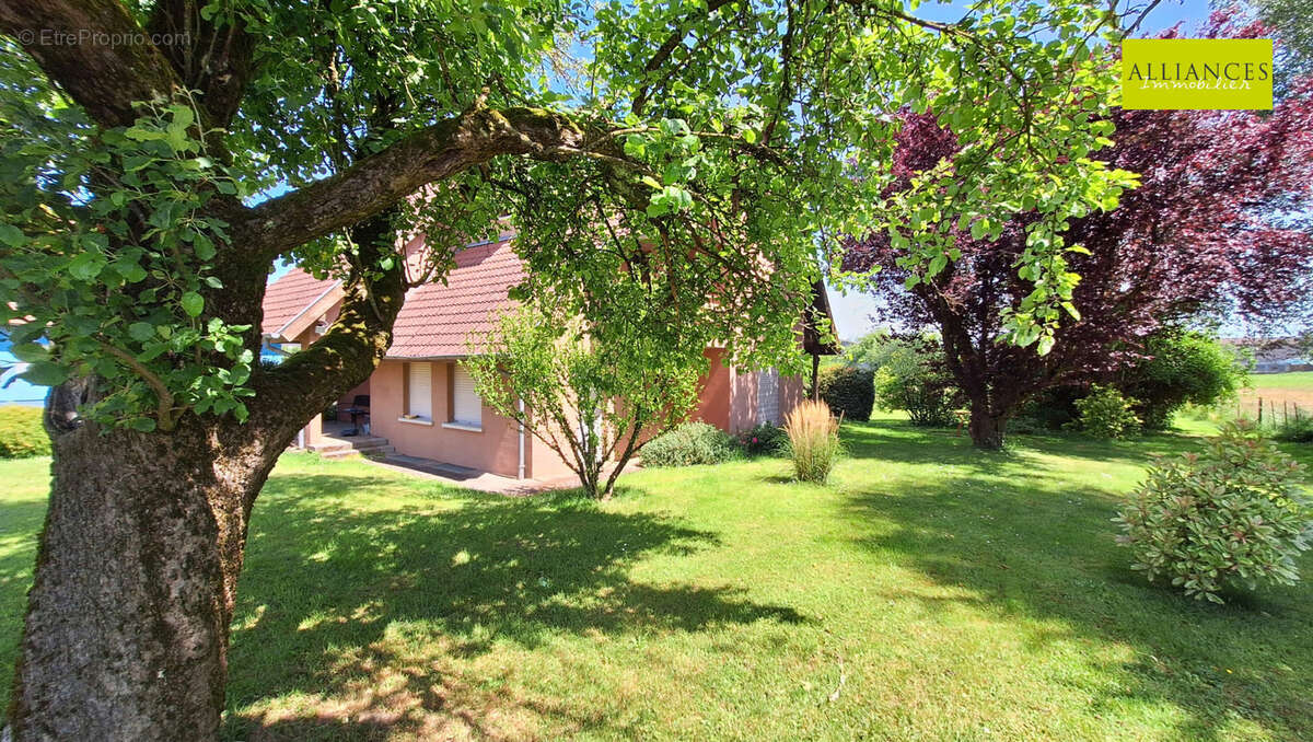 Maison à DANNEMARIE