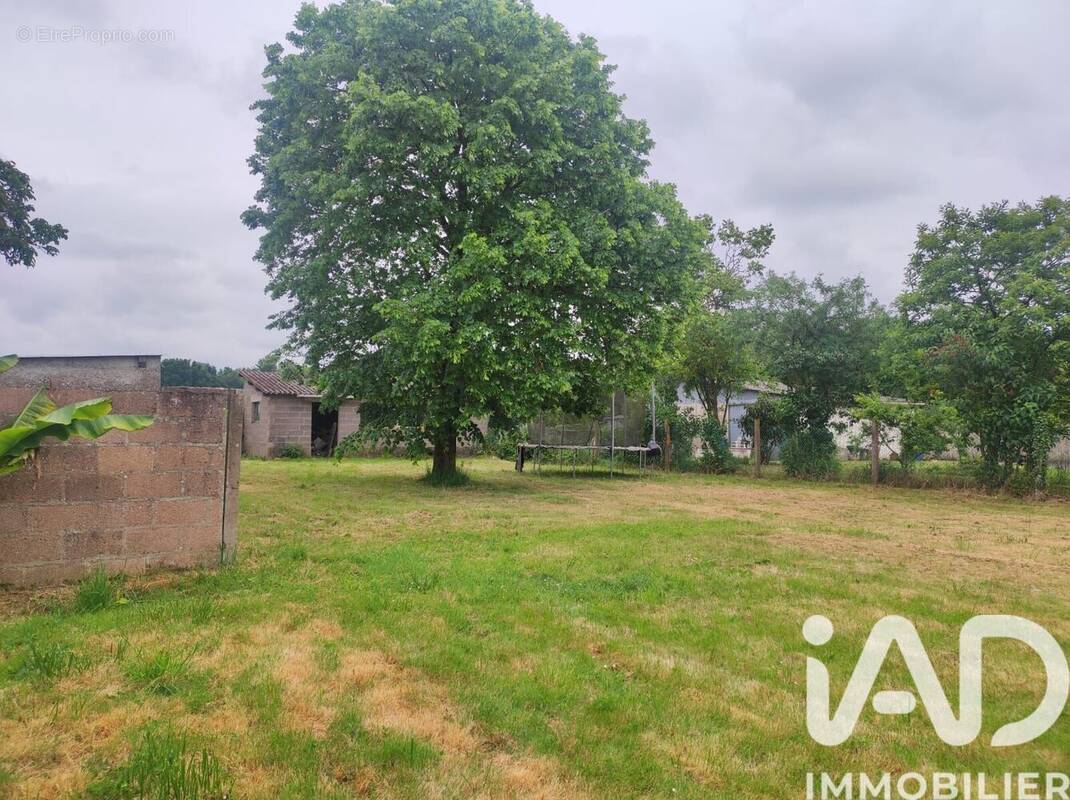 Photo 1 - Maison à BONNOEUVRE