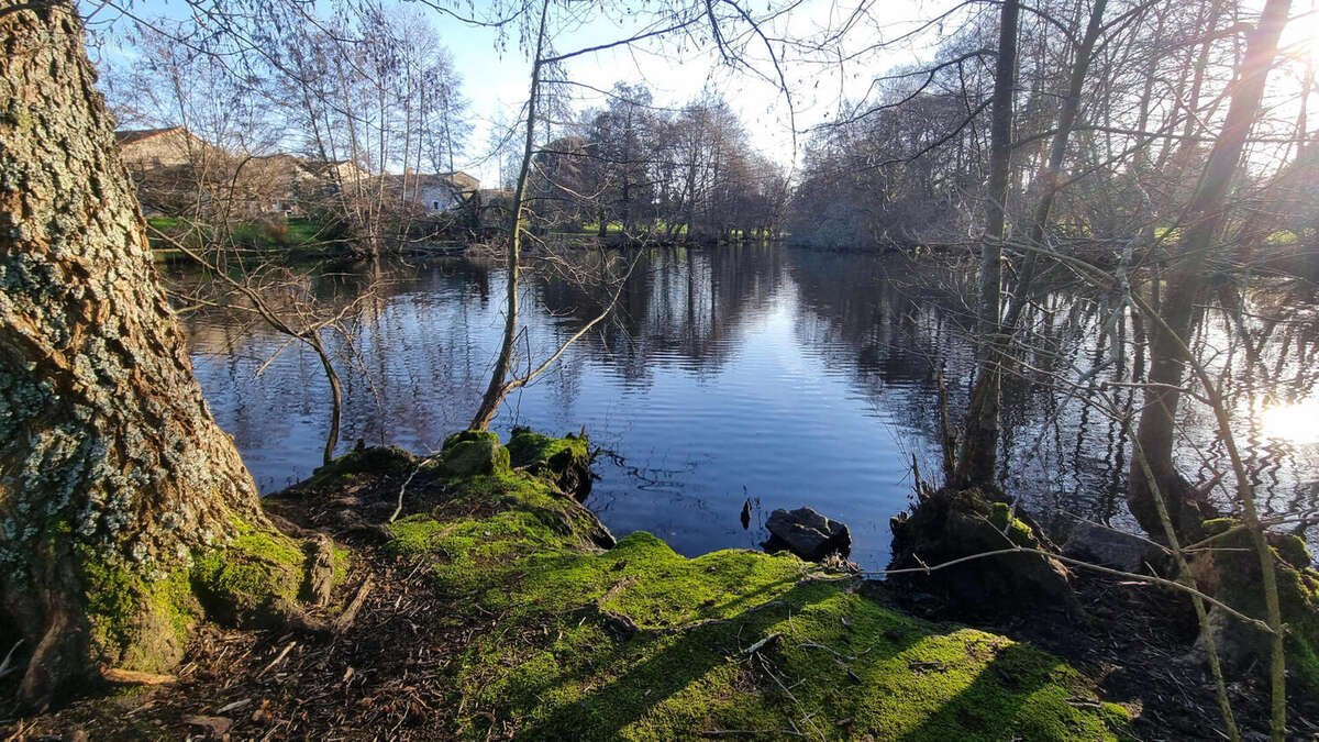 20251218_152623 - Maison à PIEGUT-PLUVIERS