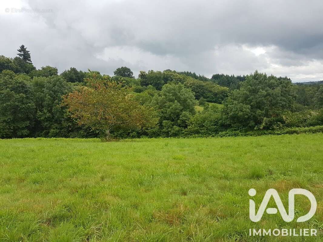 Maison 90 m² à Beaumont  - photo 3