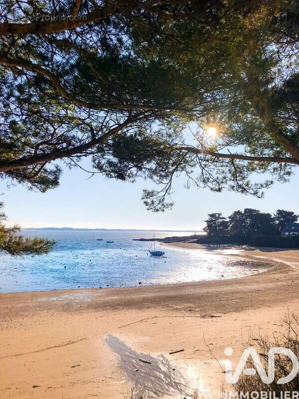 Photo 2 - Terrain à DAMGAN