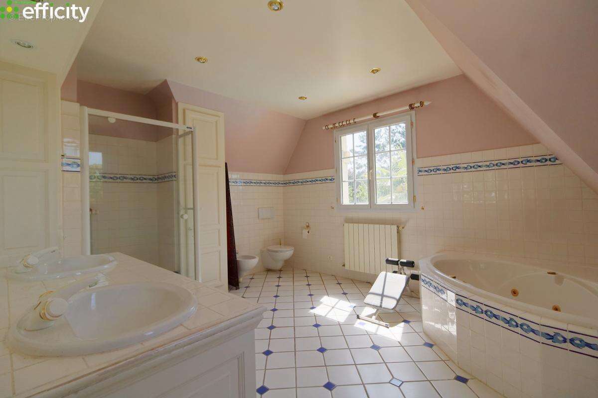 Maison 275 m² à Chaumontel  - photo 18