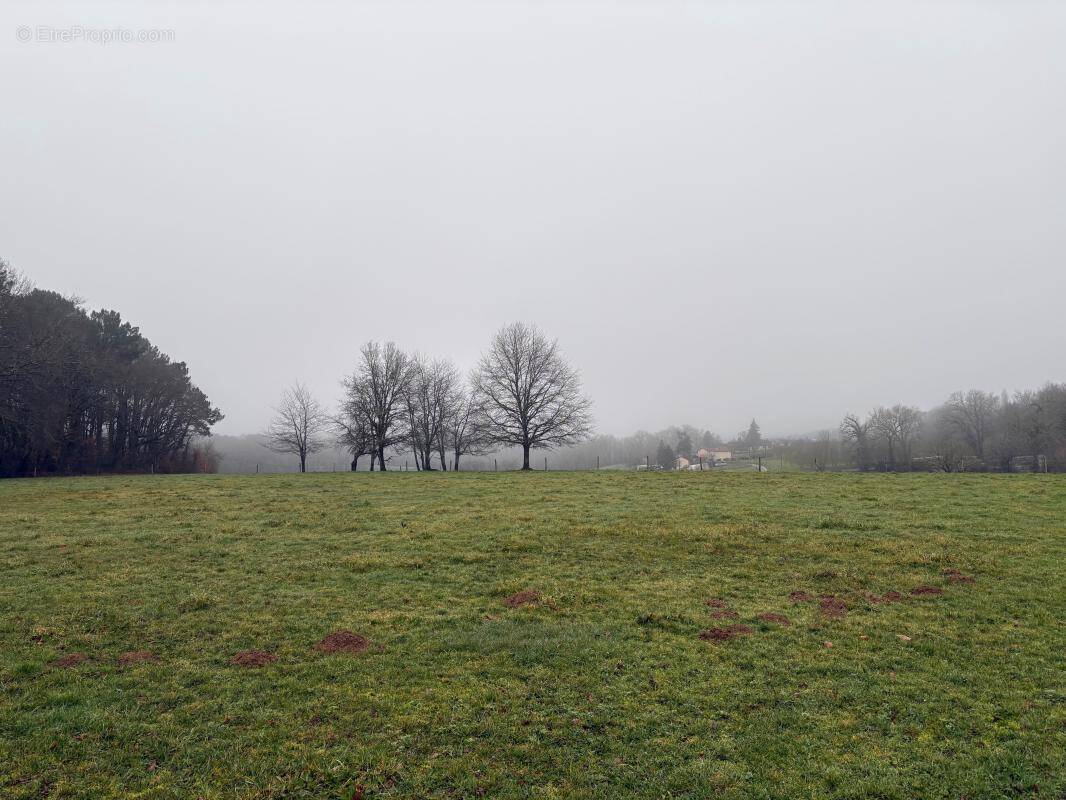 Terrain à SAINT-FRONT-D'ALEMPS