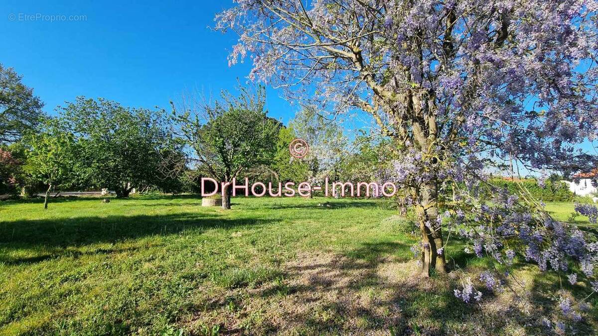 Terrain à BUZET-SUR-TARN