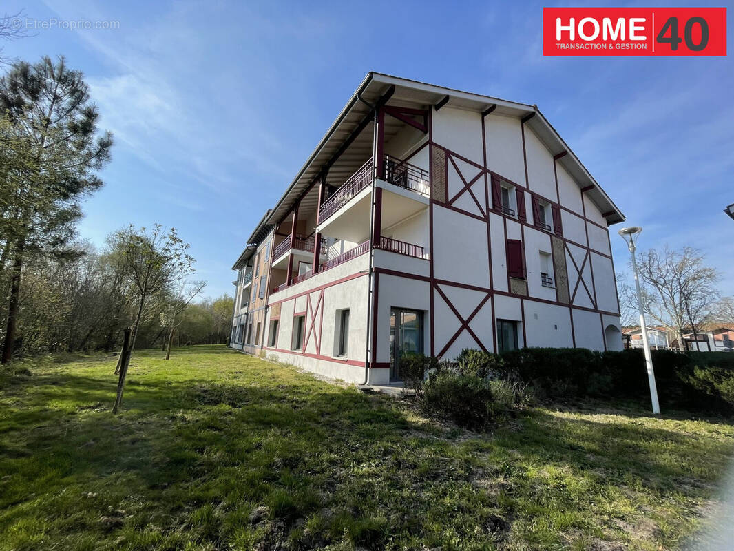 Commerce à SANGUINET