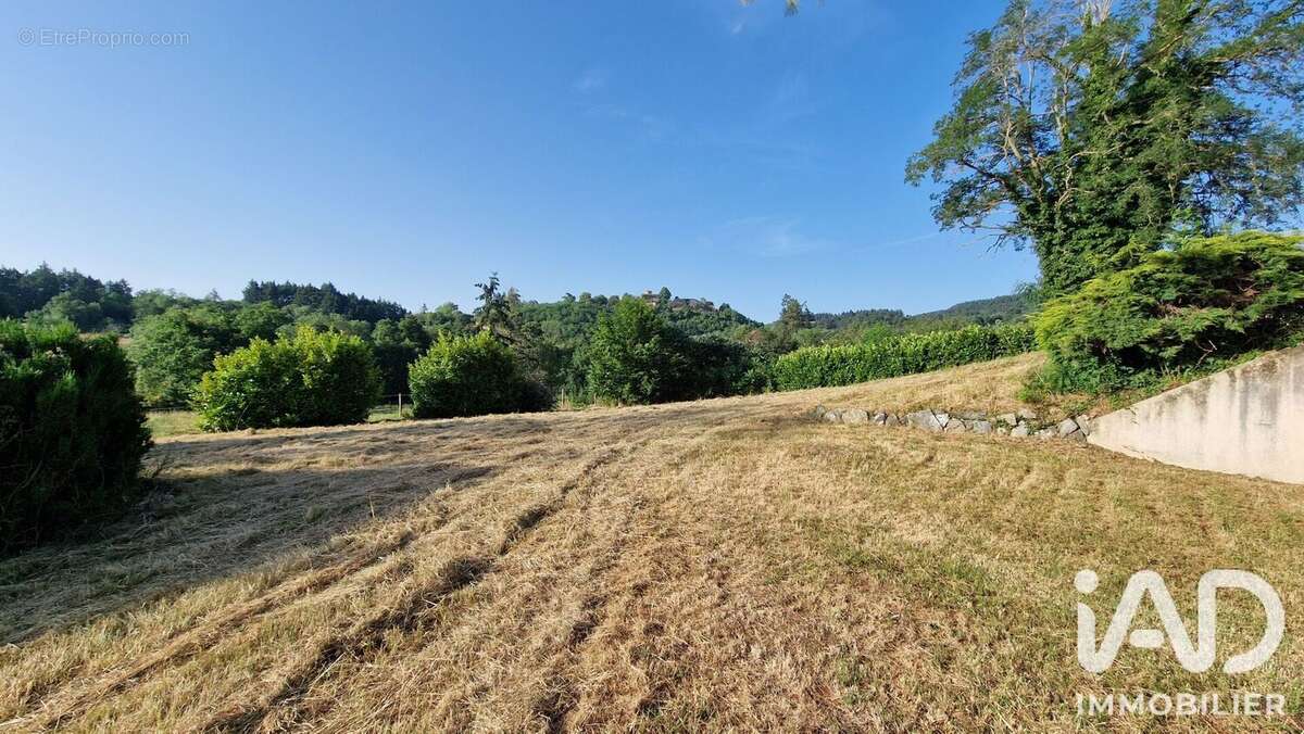 Maison 330 m² à Saint-Haon-Le-Vieux  - photo 8