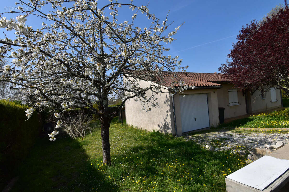 DSC_0084 - Maison à RUELLE-SUR-TOUVRE