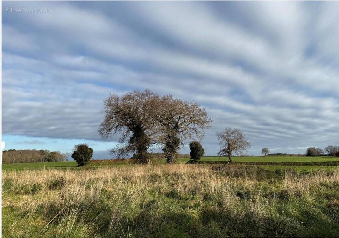 Photo 1 - Terrain à RIANTEC