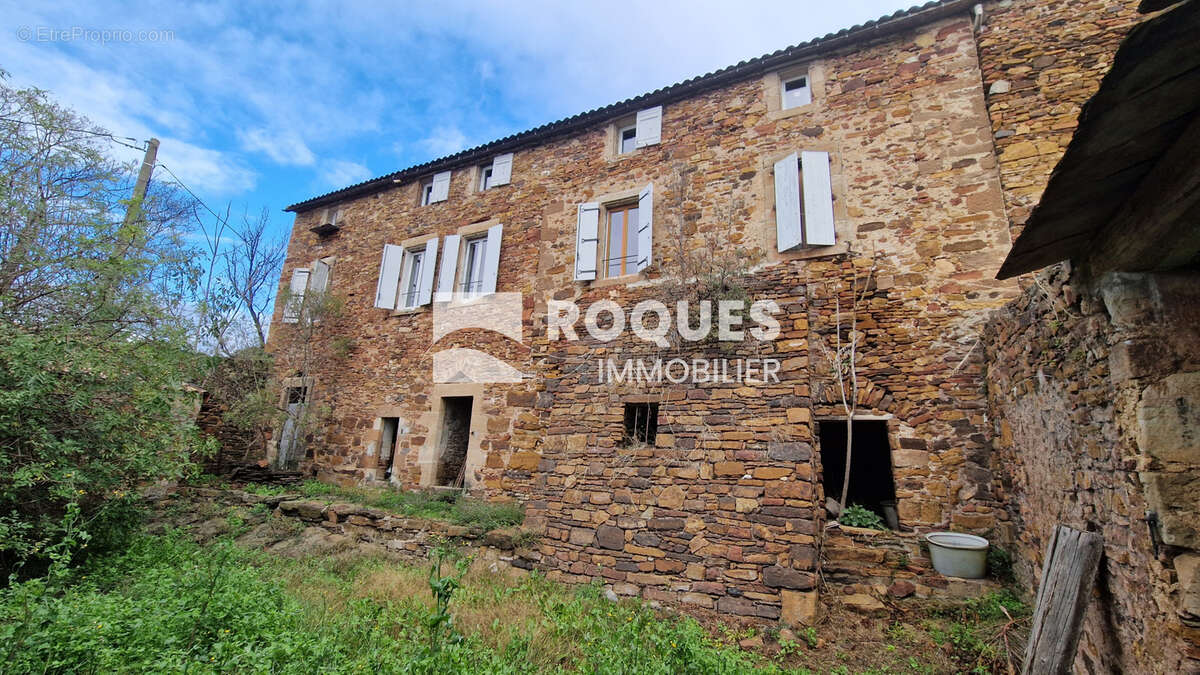 Sud Lodève, propriété en pierre193 m2 habitables plus dépendances, le tout sur 58 ha - photo 3