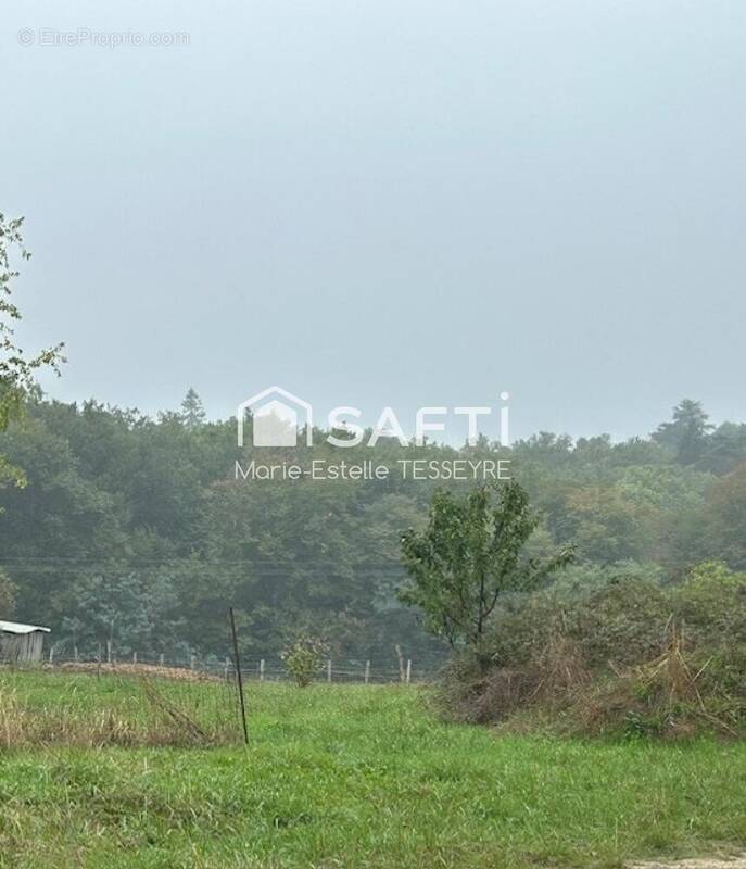 Photo 1 - Terrain à LOUPES