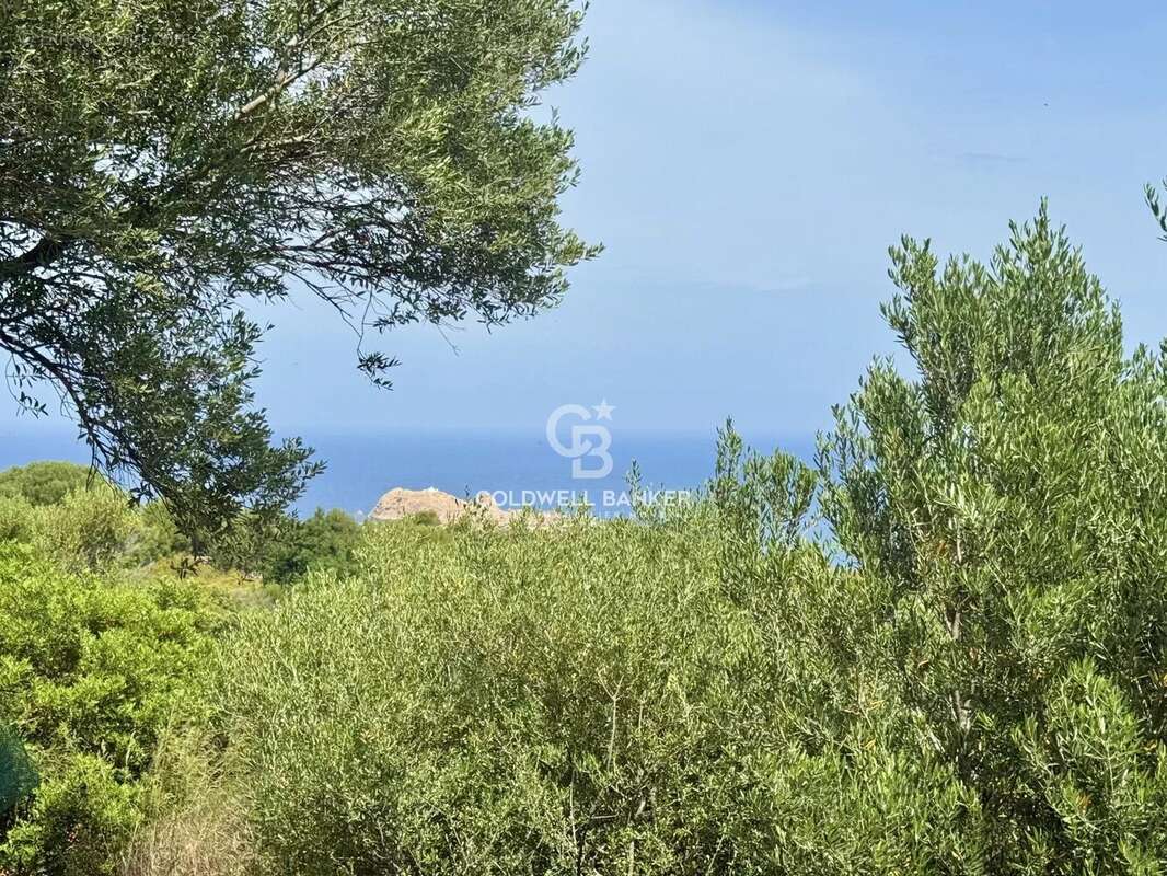 Maison à MONTICELLO