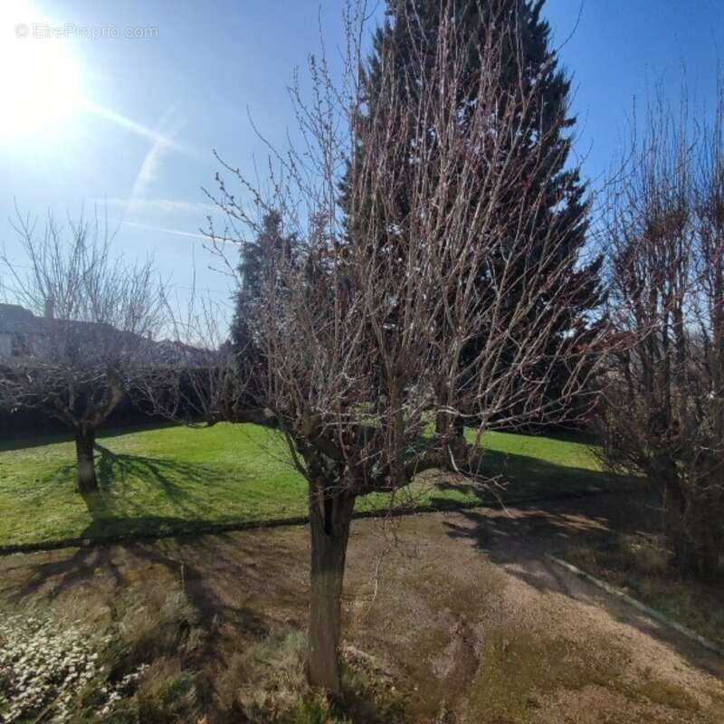 Maison à SAINT-JUST-SAINT-RAMBERT