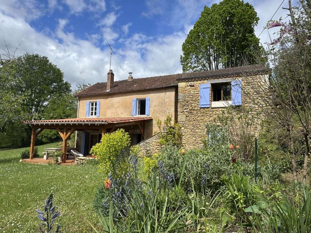 IMG2534 - Maison à LE BUISSON-DE-CADOUIN