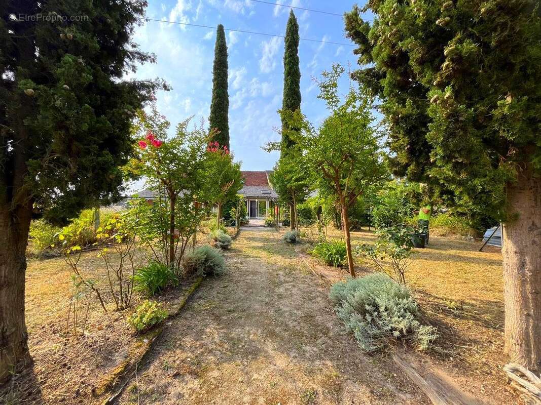 Maison 200 m² à Nouatre  - photo 4
