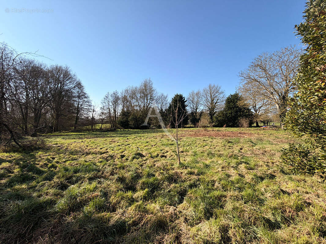 Terrain à NOZAY