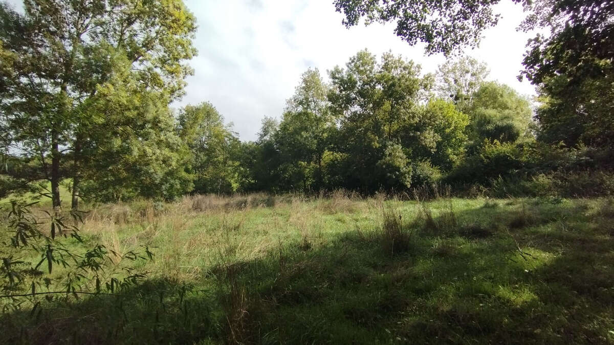 Terrain à BOUSSAY