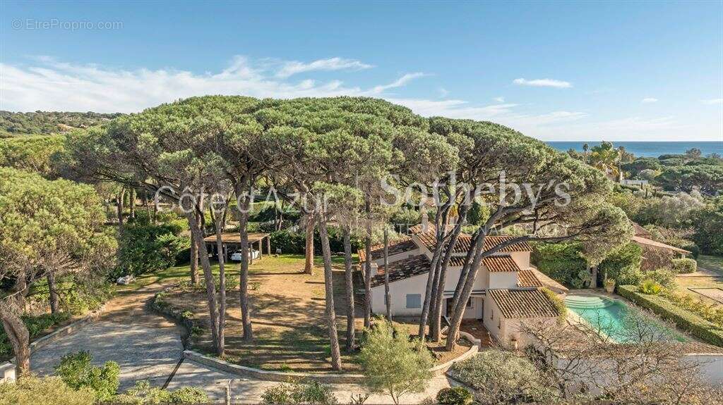 Maison à RAMATUELLE