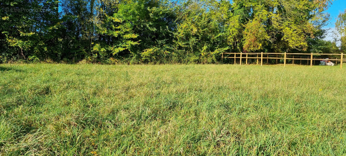 Terrain à FORGES-LES-EAUX