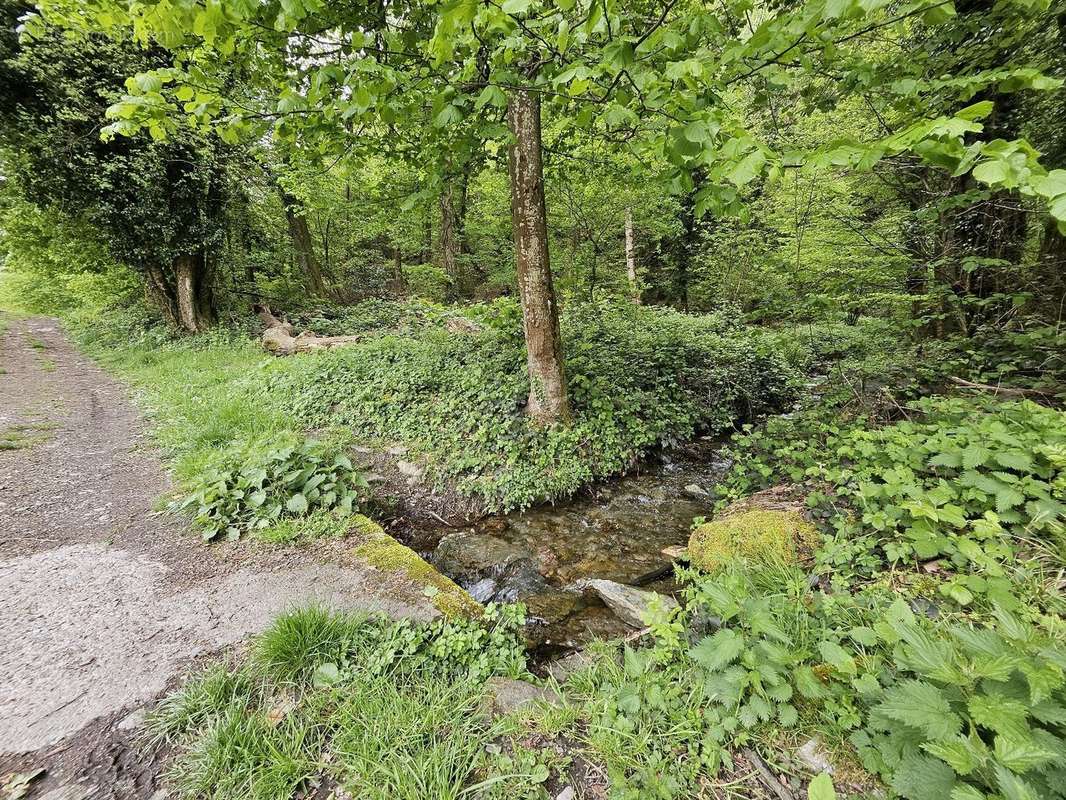 Terrain à SAINT-PAUL-SUR-ISERE