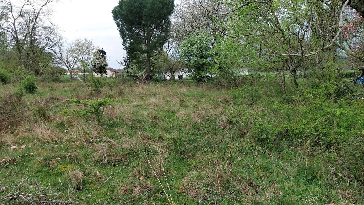 Maison à SAINT-PIERRE-DE-COLE