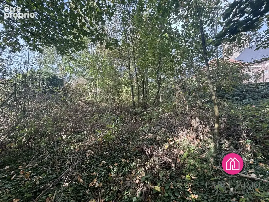 Terrain 527 m² à vendre à Wallers (59135) - photo 3