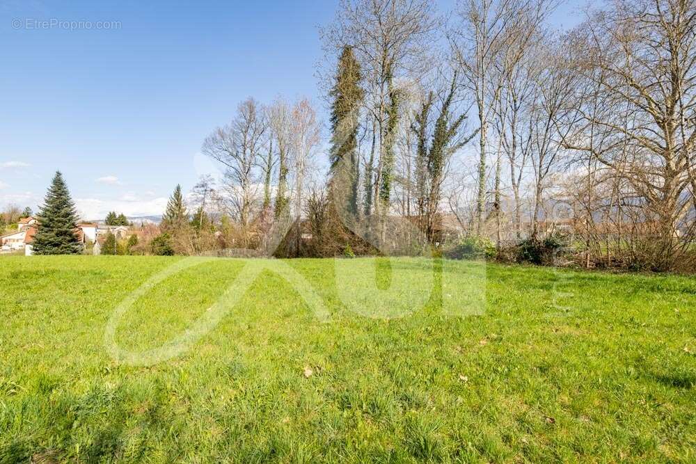 Terrain viabilisé (Lot 6) - Terrain à SAINT-JEAN-D'AVELANNE