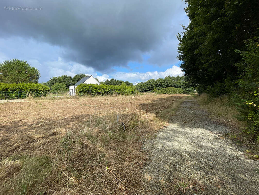 Terrain à CLOHARS-FOUESNANT