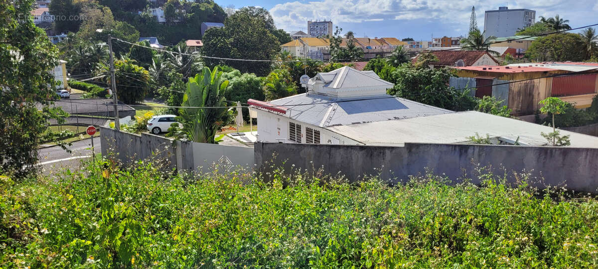 Terrain à LES ABYMES