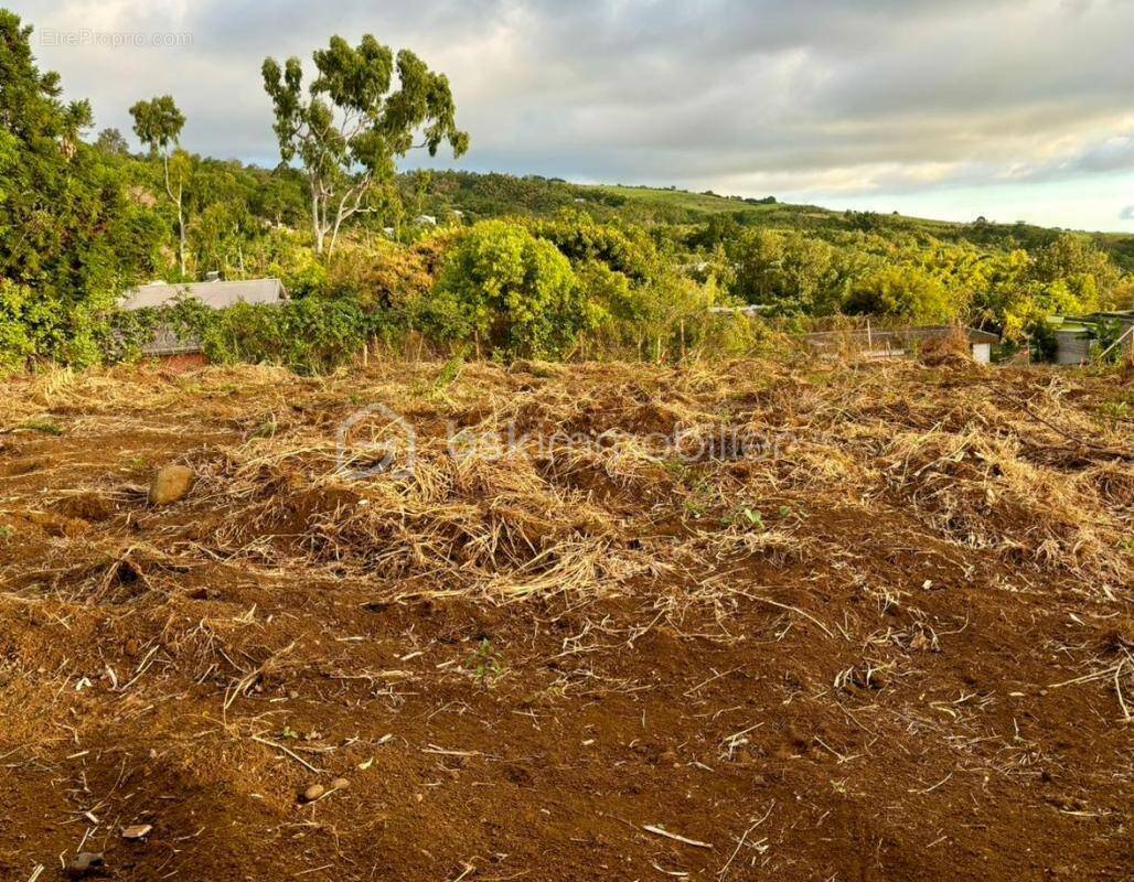 Terrain à SAINT-PAUL
