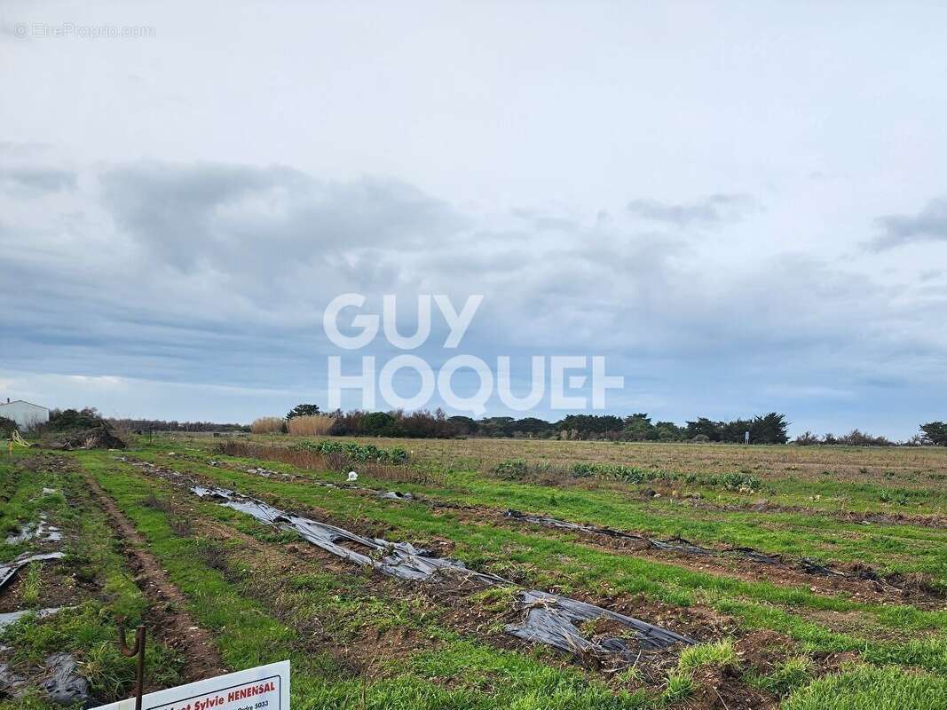 Terrain à SAINT-DENIS-D'OLERON