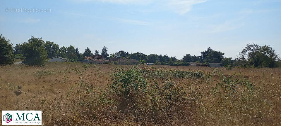 Terrain à SAINT-MEDARD-DE-MUSSIDAN