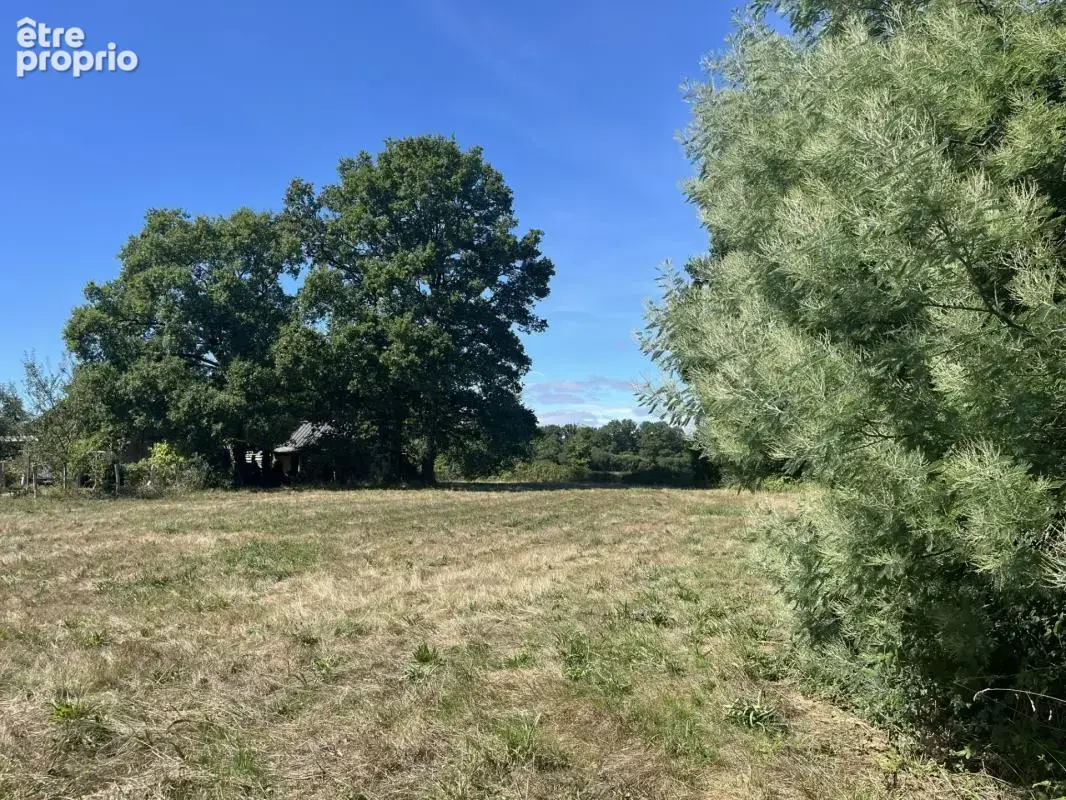 Terrain à constructible de 1 537m² – Division possible – Plessé - photo 4