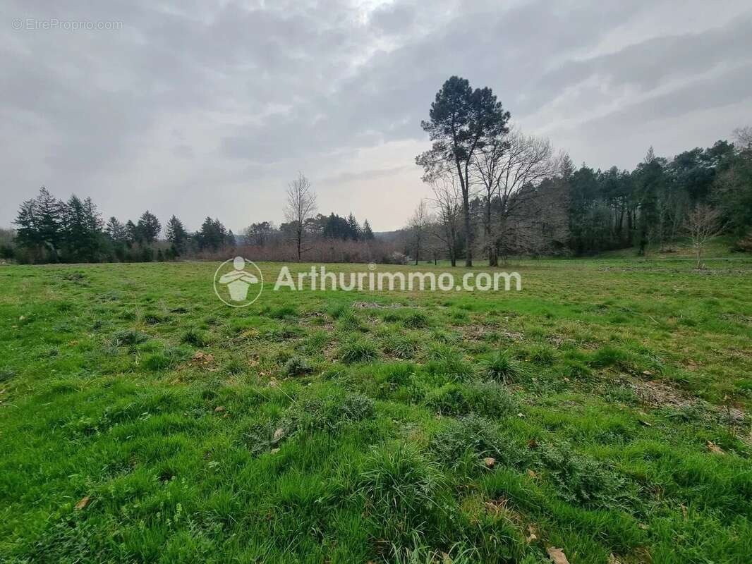 Terrain à batir de 7900 m² - photo 6