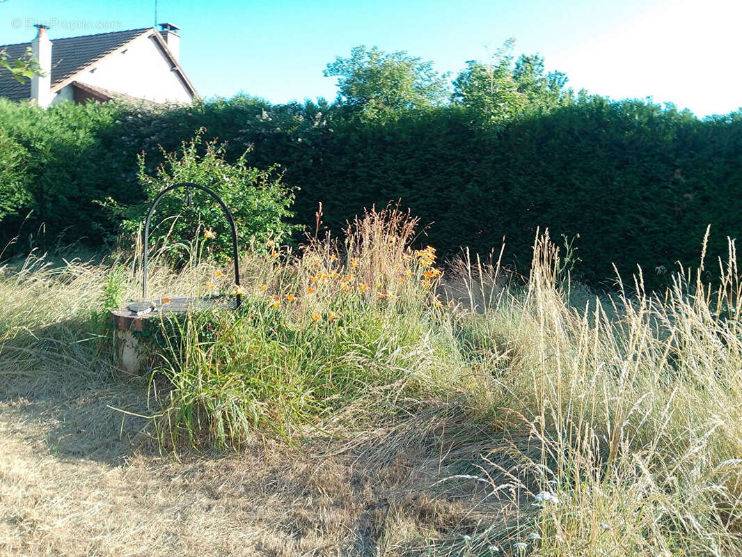 Maison Aubigny Sur Nere 5 pièce(s) 117 m² - photo 13