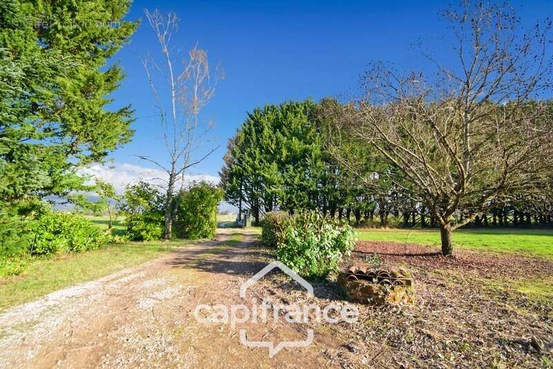 Maison à vendre 4 pièces proche de LOUHANS (71) - photo 4