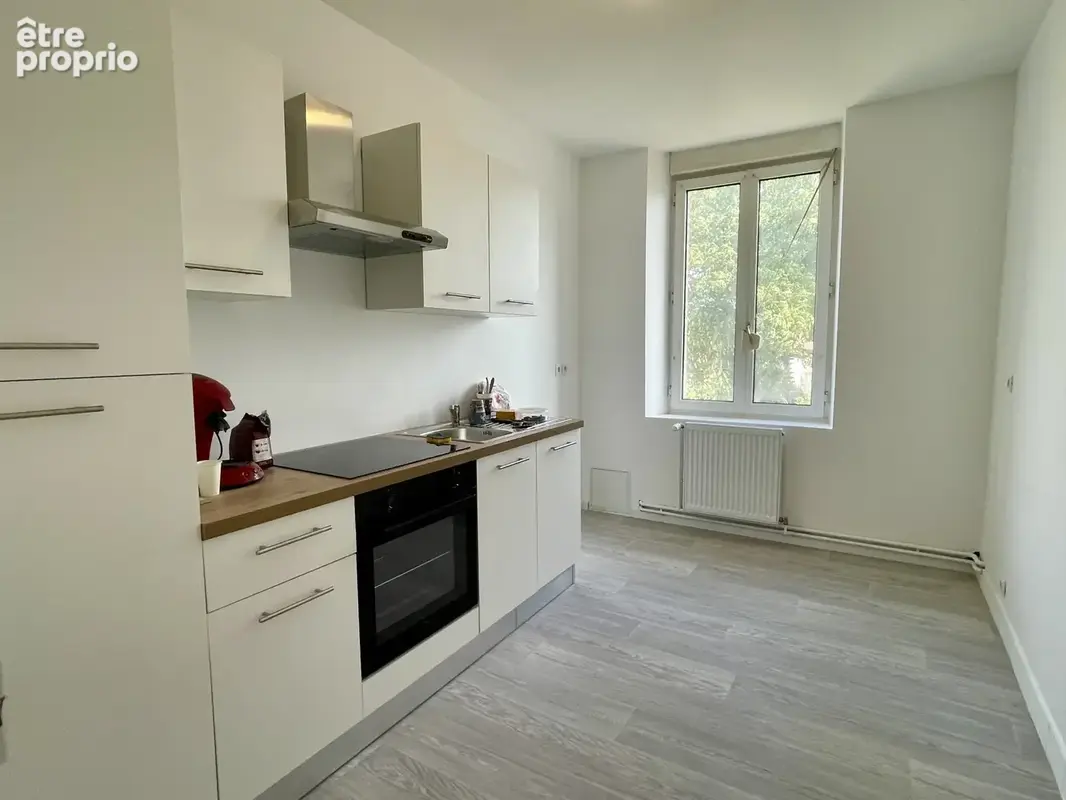 Maison de rapport renovee 2 f4 2 garages jardin - photo 3