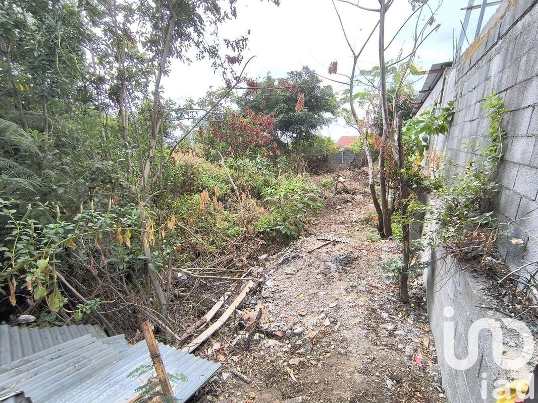 Photo 4 - Terrain à SAINT-PAUL