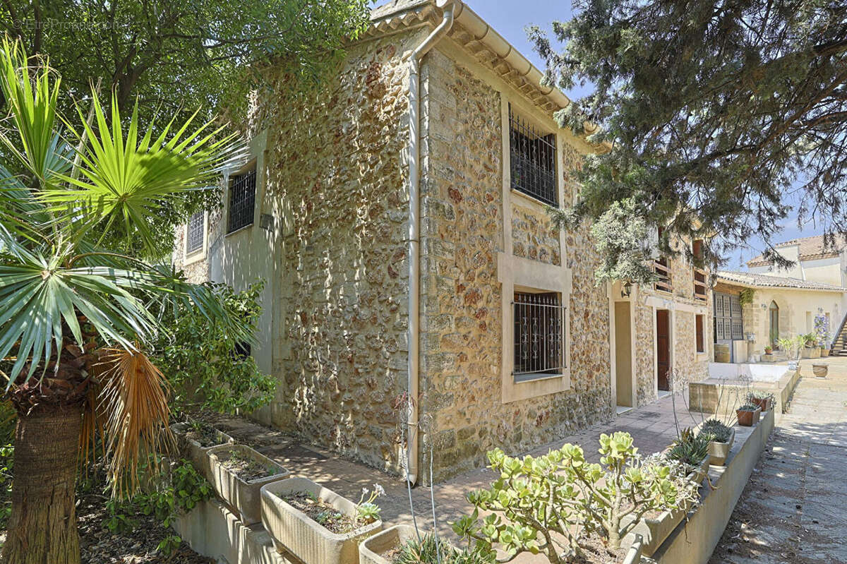 Maison à MONTPELLIER