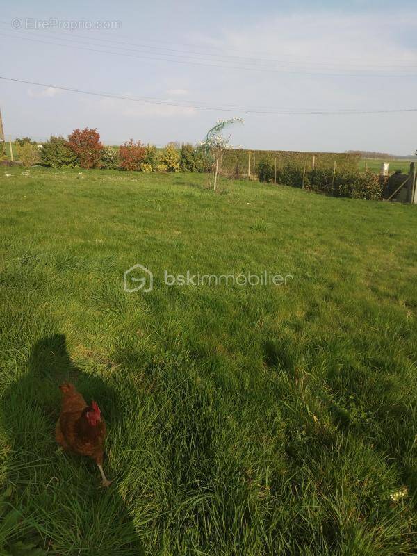 Terrain à BERCHERES-SAINT-GERMAIN