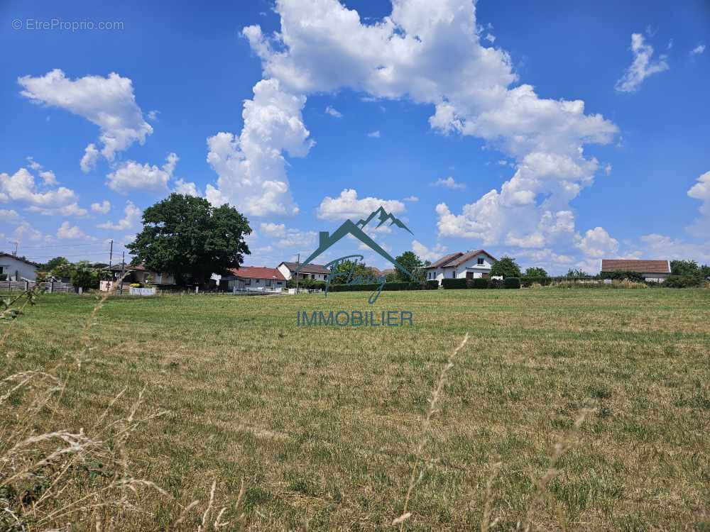 Terrain à SERCOEUR