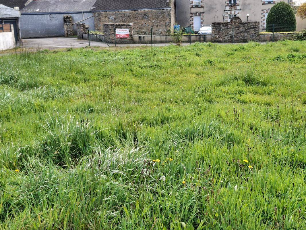 Terrain à LOUISFERT