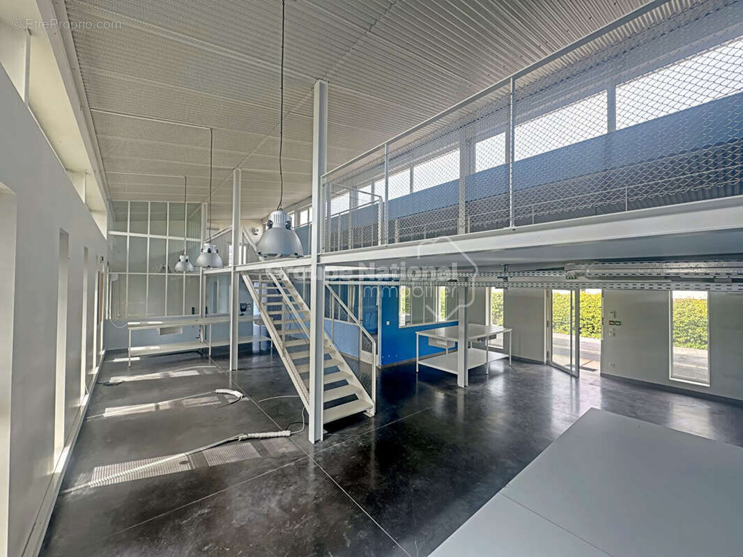 À vendre - bâtiment professionnel 750 m² - périphérie de lunel - photo 3