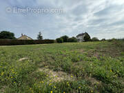 Terrain à JARZE