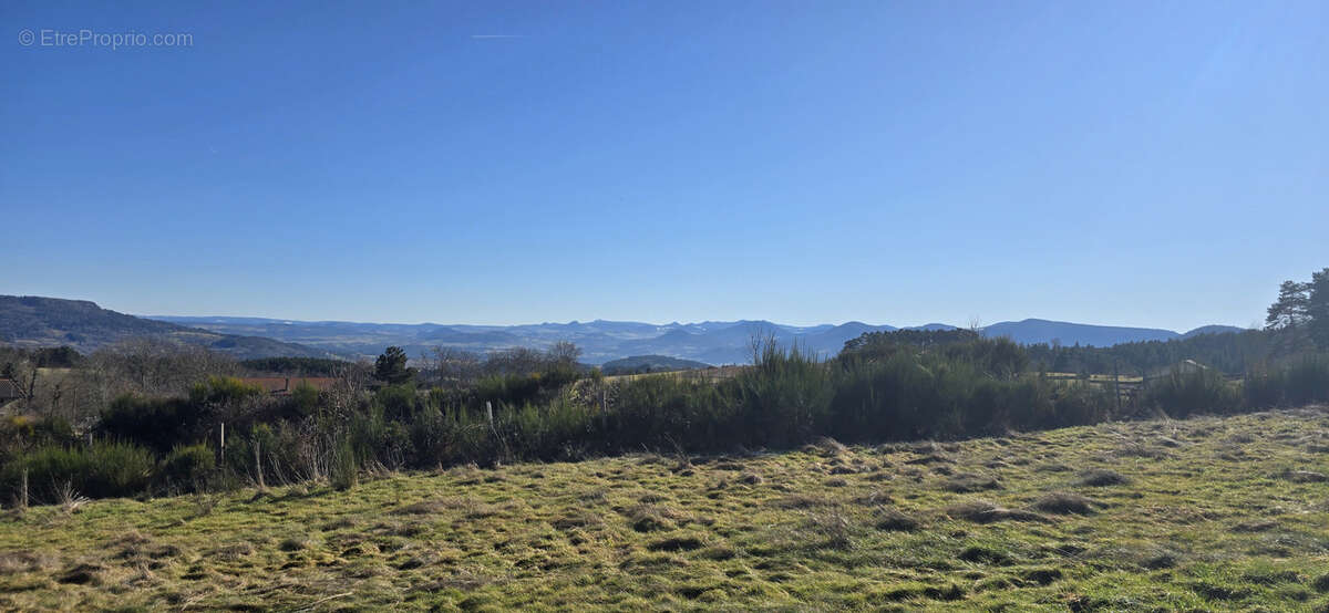 Terrain à SOLIGNAC-SOUS-ROCHE