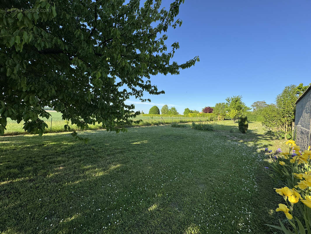 Terrain à BARBEZIEUX-SAINT-HILAIRE